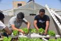 مشاركات المتطوعين